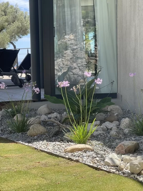 Les jardins de Tim a crée un gazon et des massifs méditerranéens à Casis , Aubagne, Les Jardins de Tim