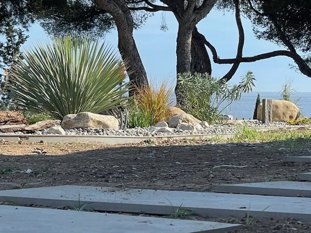 Arbuste pour massif moderne, Aubagne, Les Jardins de Tim