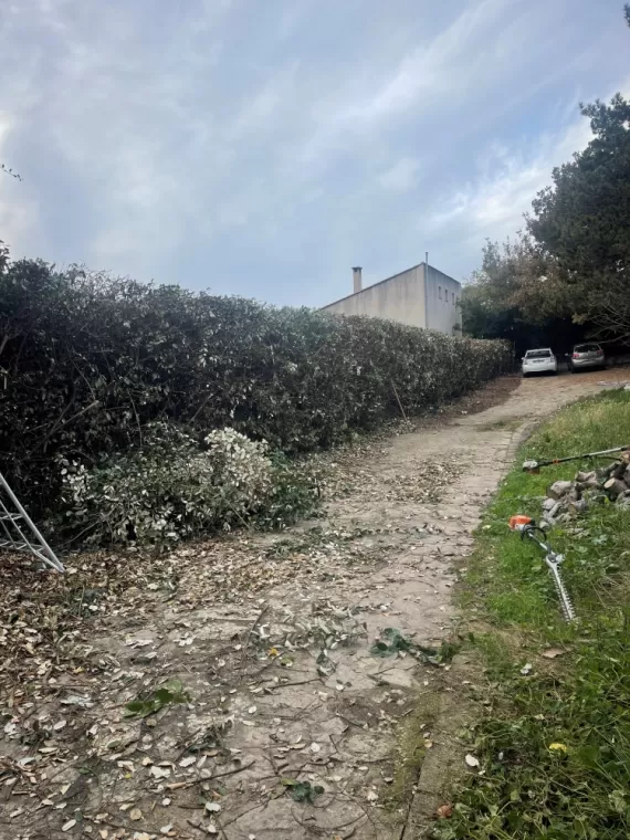 Taille de haies de grande hauteur à Aubagne, Aubagne, Les Jardins de Tim
