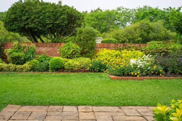 Entretien de jardin avec crédit d'impôt à Aubagne, Aubagne, Les Jardins de Tim