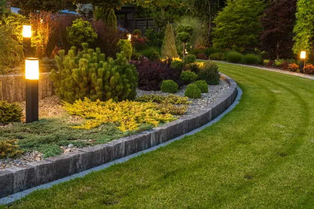 Entretien de jardin avec CESU à Vence, Aubagne, Les Jardins de Tim