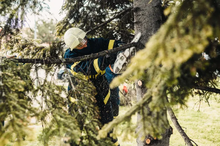 Élaguer un arbre dangereux sur une propriété privée à Aubagne , Aubagne, Les Jardins de Tim