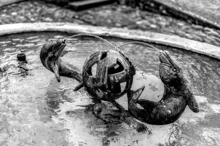 Création de fontaine dans un jardin à Auriol, Aubagne, Les Jardins de Tim