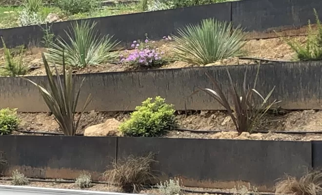 Création d’un jardin à Auriol, Aubagne, Les Jardins de Tim