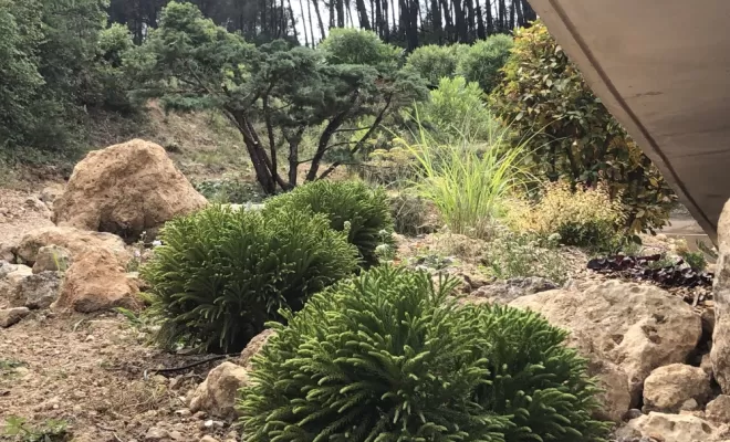 Création d’un jardin à Auriol, Aubagne, Les Jardins de Tim