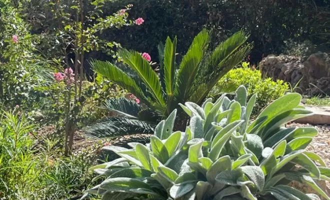 Aménagement de jardins, Aubagne, Les Jardins de Tim