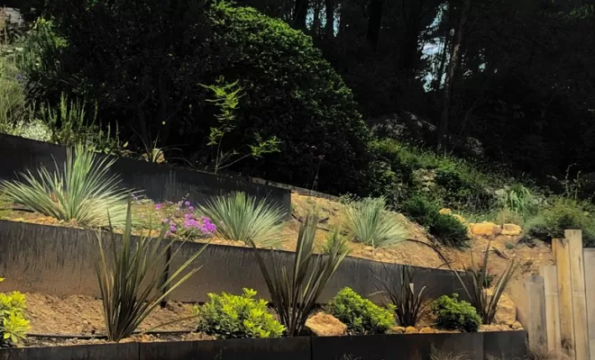 Aménagement de jardins, Aubagne, Les Jardins de Tim