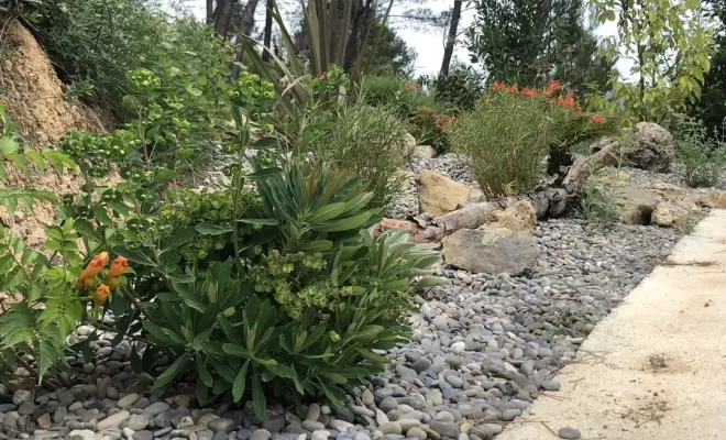 Aménagement de jardins, Aubagne, Les Jardins de Tim