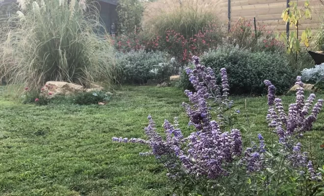Aménagement de jardins, Aubagne, Les Jardins de Tim