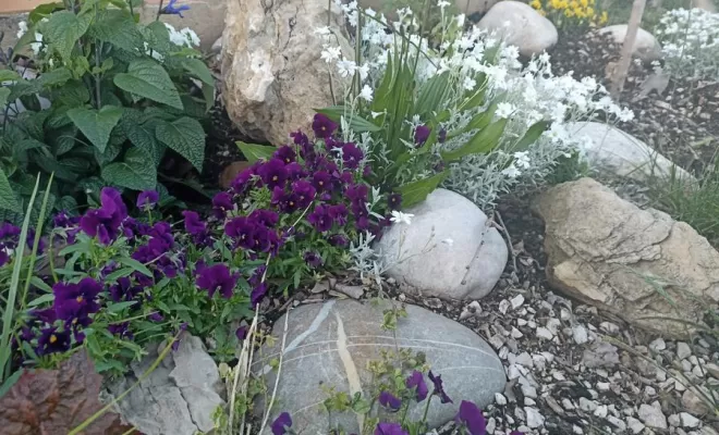 Création de jardins, Aubagne, Les Jardins de Tim