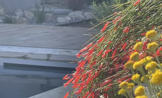 Création de terrasse en bois, Aubagne, Les Jardins de Tim